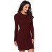 Asymmetric Buttoned Collar Burgundy Bodycon Sweater Dress